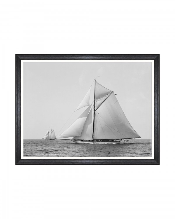 AMERICA’S CUP - COLONIA 1895 Framed Art