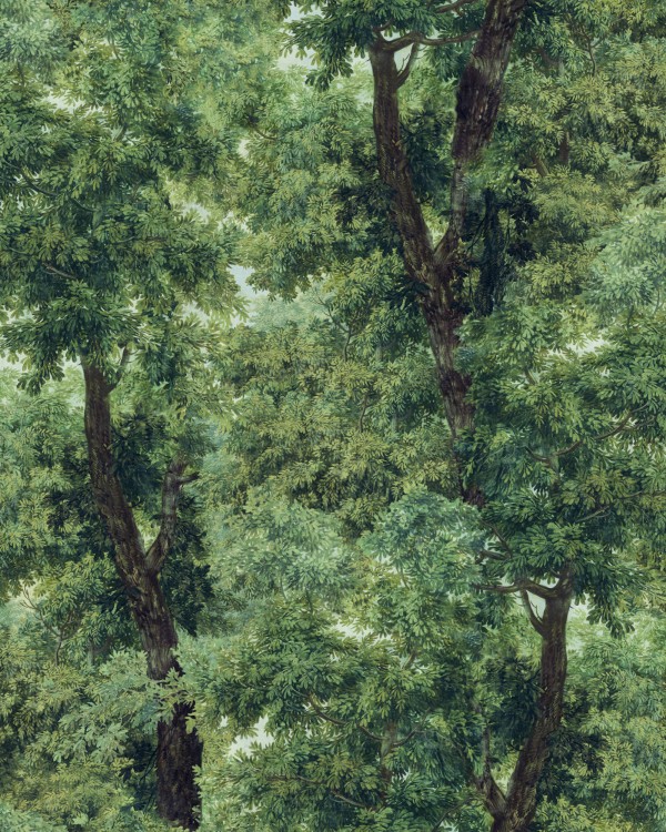 BRANCHY Meadow Green Wallpaper