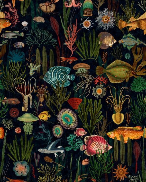 OCEANIA Wallpaper