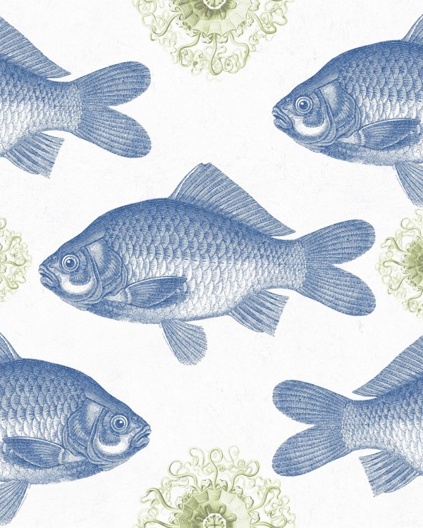 FISH Blue Wallpaper