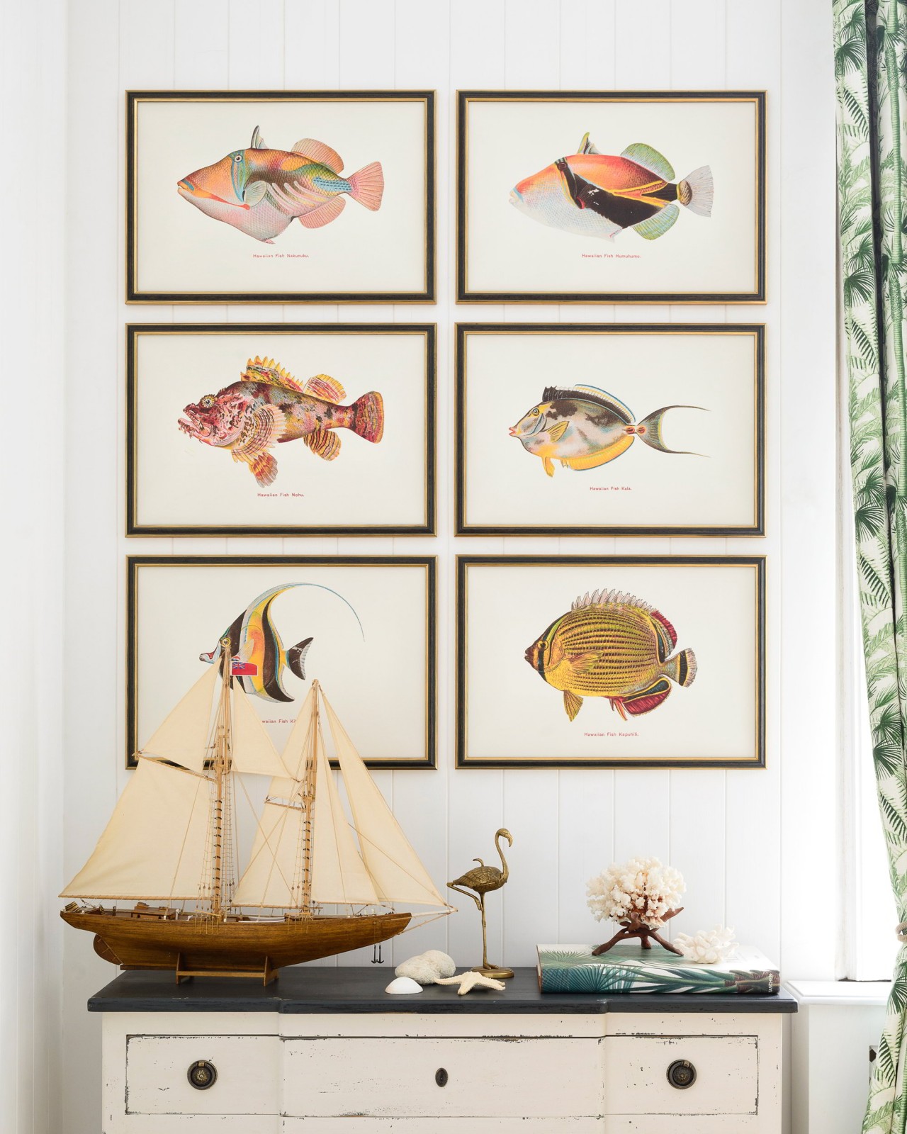 FISHES OF HAWAII  - HUMUHUMU FISH Framed Art