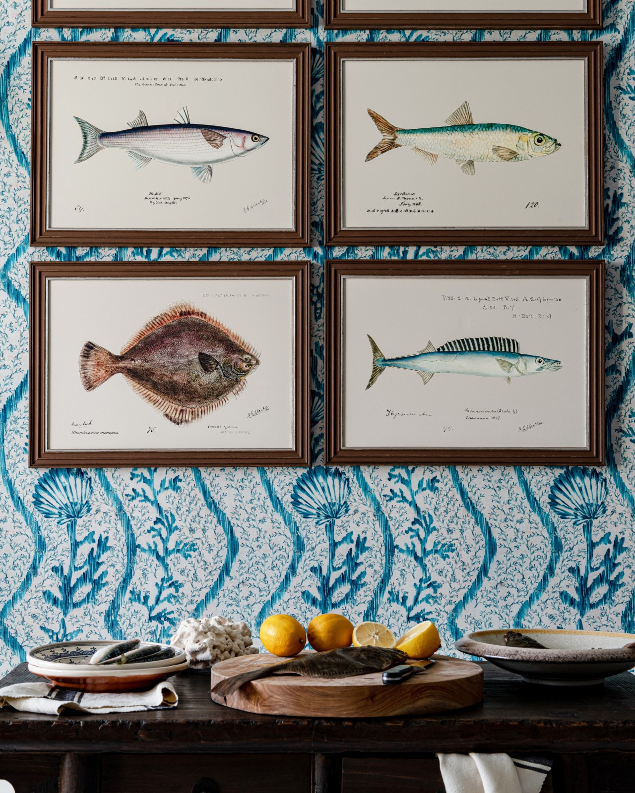 MEDITERRANEAN FISH - BARRACUDA by F Clark Framed Art