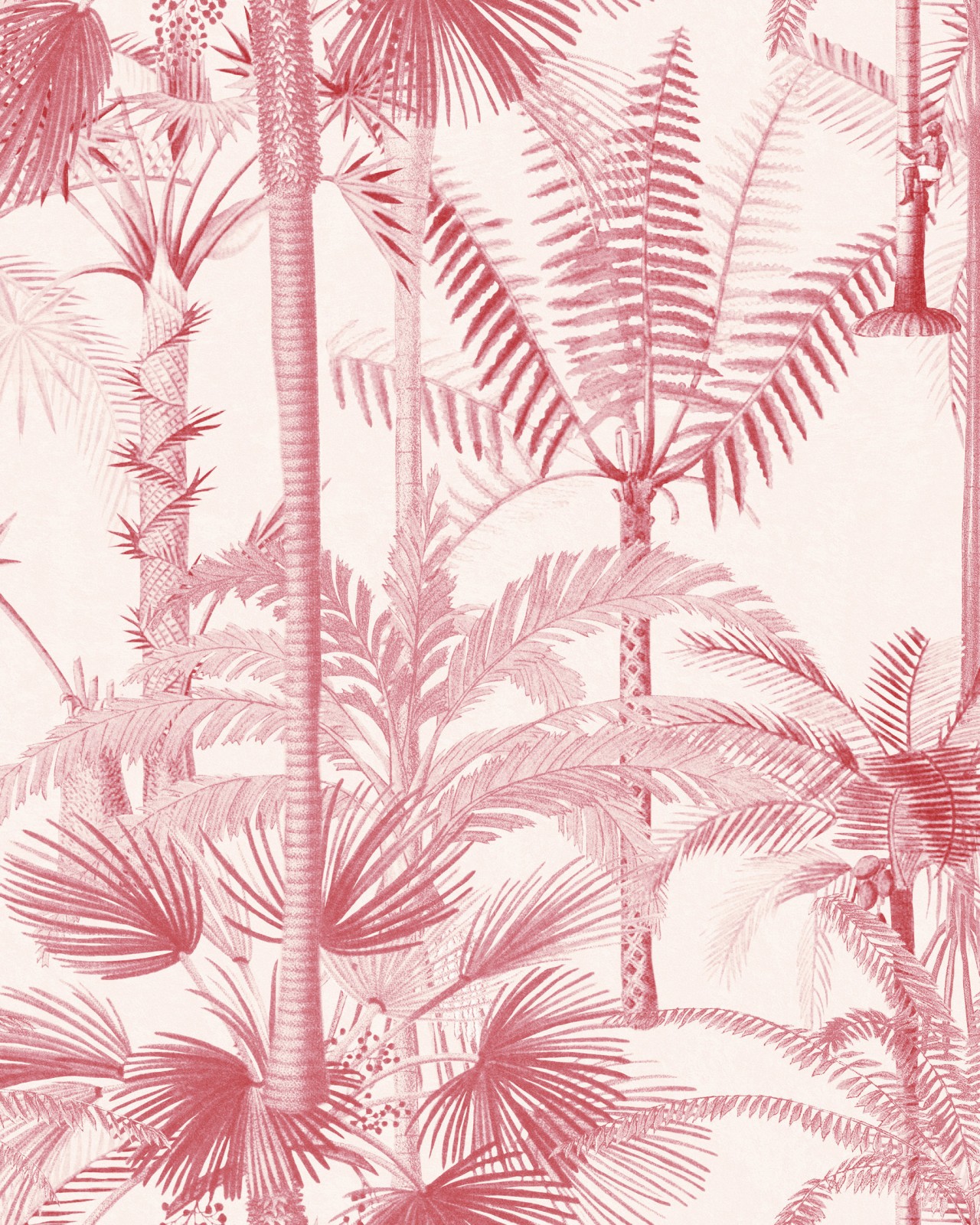 PALMERA CUBANA Pink Wallpaper