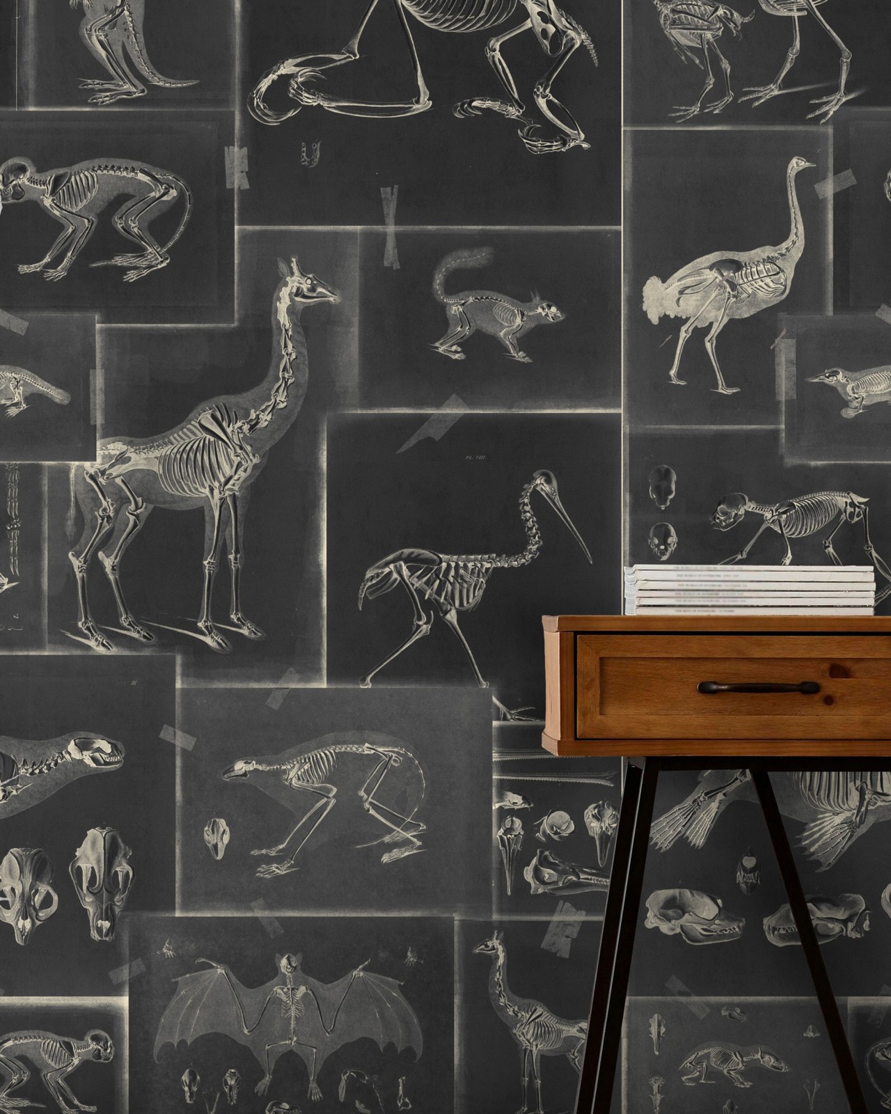 ZOOARCHAEOLOGY Anthracite Wallpaper